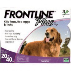 Frontline Plus - 狗隻專用(大型犬)殺蝨滴 (需預訂)