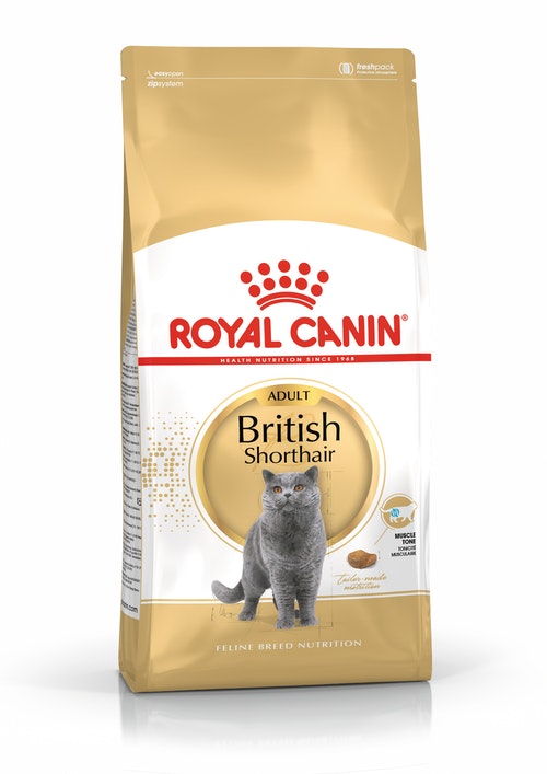 Royal Canin 法国皇家 - 12个月以上英国短毛貓成貓